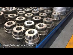 Nickel Valve Cover Cap